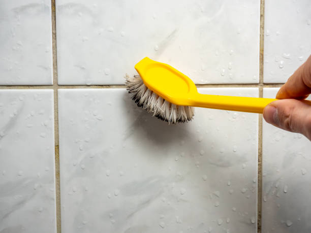 Best Attic Mold Removal  in Medford Lakes, NJ