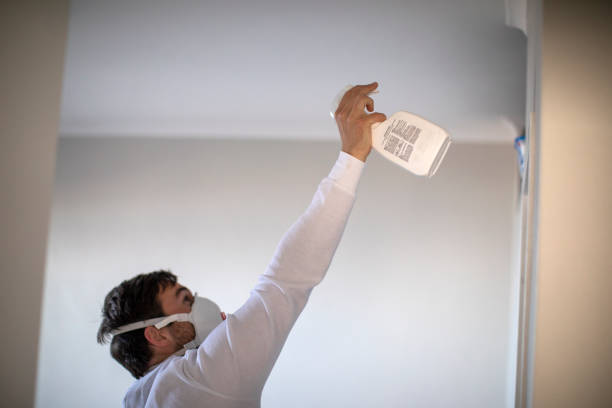 Best Mold Removal Company Near Me  in Medford Lakes, NJ