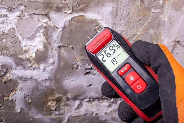 Best Mold Remediation  in Medford Lakes, NJ