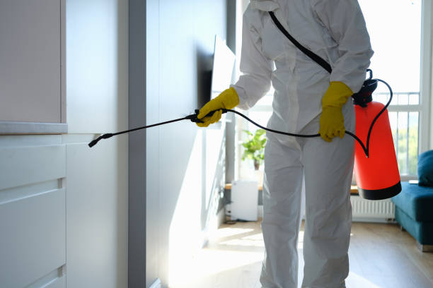 Best Commercial Mold Removal  in Medford Lakes, NJ